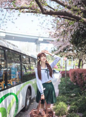 电锯人樱花动漫